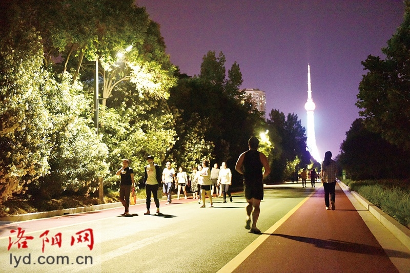 越夜越美丽!洛阳7大夜跑路线等您来打卡