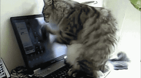 鼠标|解放双手，你需要一只具有语音录入功能的智能鼠标