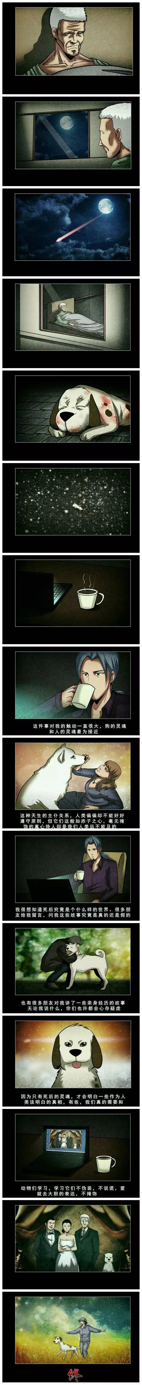 一则感人至深的温情小漫画,堪称漫画版《忠犬八公的故事》_腾讯新闻
