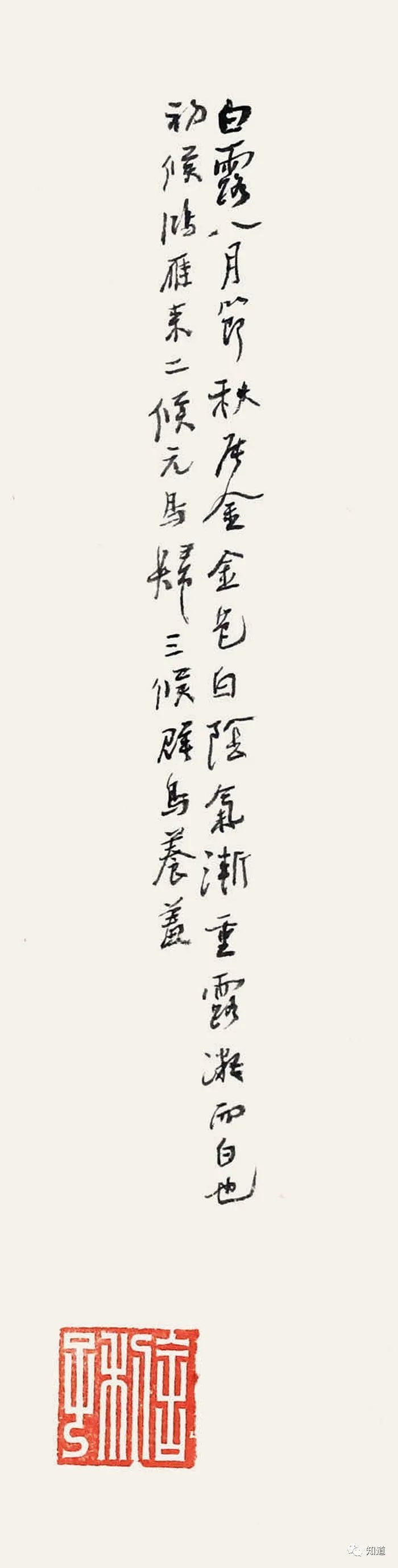 廿四节气|最美廿四节气——白露！