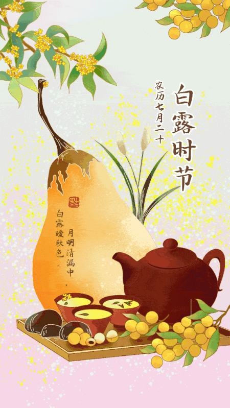 白露 金风送叶 白露凝珠 腾讯新闻