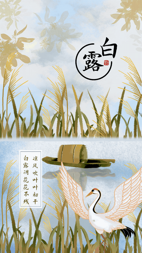 冰心|冰心一点润清秋