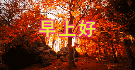 最美早上好说说动态表情图片,唯美早安问候语_腾讯新闻