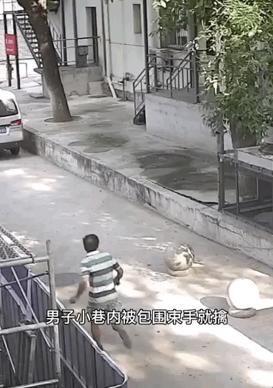 一路|到底是什么人？让警察、保安、医生、路人一路狂追