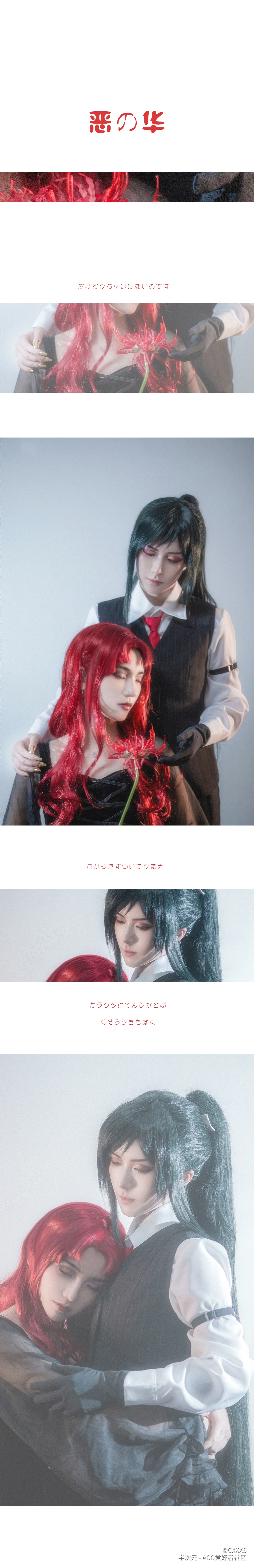 Cos刀剑乱舞太郎太刀女审神者 乙女向cos正片 恶の华 腾讯新闻