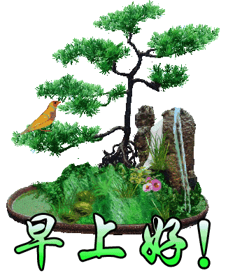 2022最受欢迎早上好问候表情图片 微信很美早上好表情图片问候