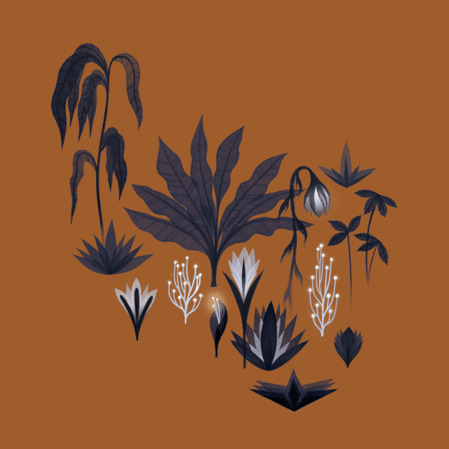 美国|述说心灵的故事的美国女孩