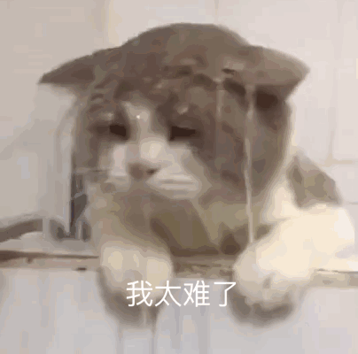 現場下起了金色的雨！OG敗者組一穿六，斬獲斯德哥爾摩Major冠軍學霸思維