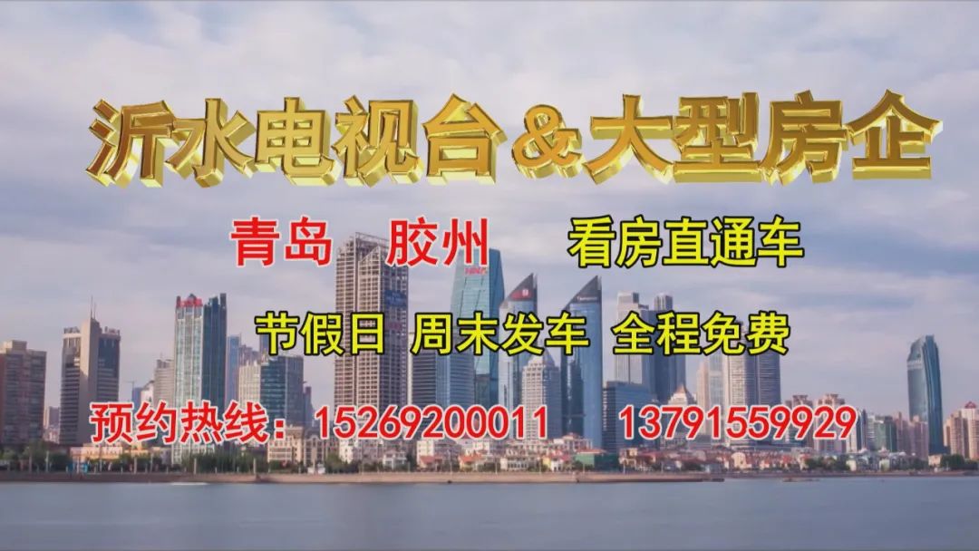 38人被判刑最高刑期25年临沂两起黑社会性质组织案宣判