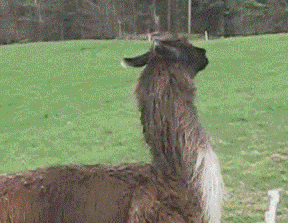 陈伟霆|陈伟霆公布臀围，被赞“男版卡戴珊”