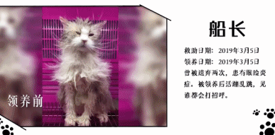 橘座|上线9.8，B站又做了件好事