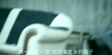 橘座|上线9.8，B站又做了件好事