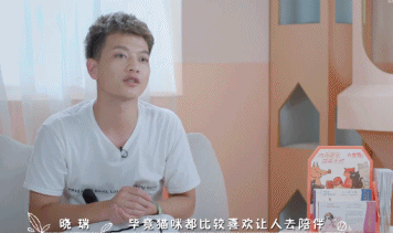 橘座|上线9.8，B站又做了件好事