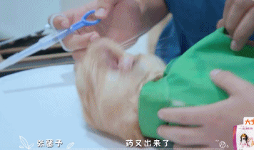 橘座|上线9.8，B站又做了件好事