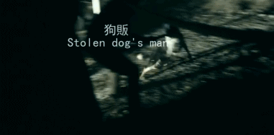 橘座|上线9.8，B站又做了件好事