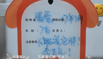 橘座|上线9.8，B站又做了件好事