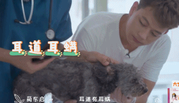 橘座|上线9.8，B站又做了件好事