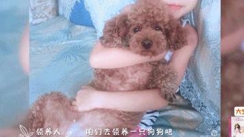 橘座|上线9.8，B站又做了件好事