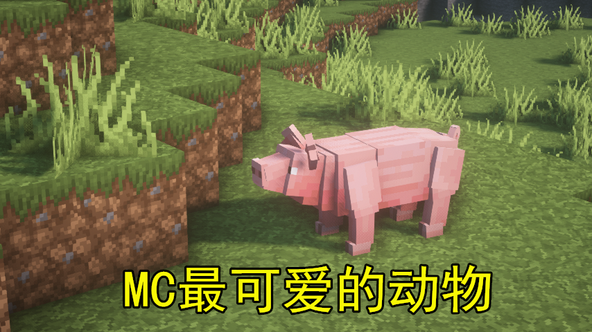 我的世界：原来我们都被骗了，这才Minecraft真实的样貌