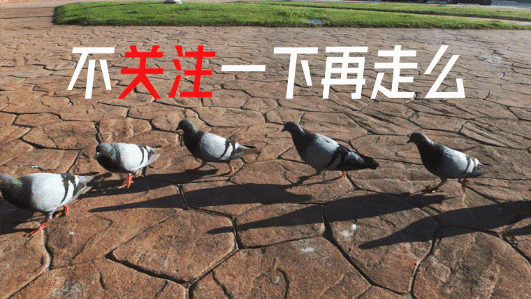 加里·弗兰德罗|寿命仅剩16年，速度达到每小时6万公里的旅行者，还能飞多远？