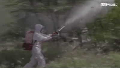 卫星|你永远不知道，卫星帮我们挡了多少灾