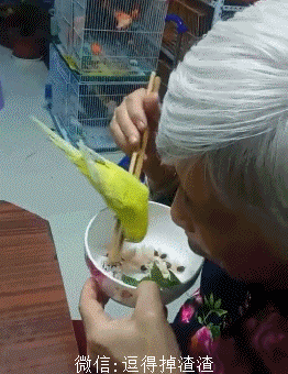 你偷吃好吃的竟然不叫我,看我不给你吃光你绝对没见过这样的毕业蛋糕