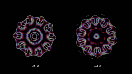 蚯蚓|搞笑诺贝尔奖物理学奖出炉，获奖者竟然把蚯蚓灌醉研究振动？