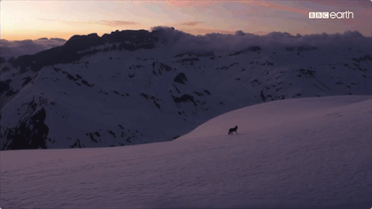bbc|豆瓣9.5，BBC又出神作，堪比《地球脉动》