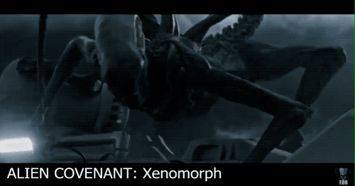 马凡氏综合征|因为基因突变他长成了网文男主的样子，但却因此只适合出演恐怖片