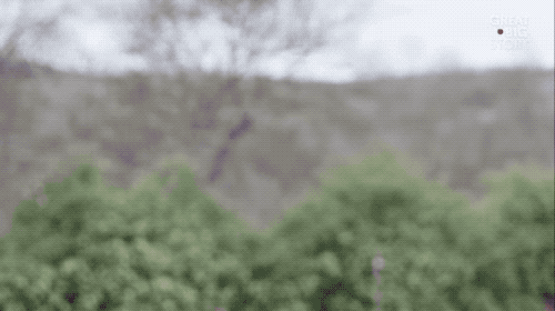 马凡氏综合征|因为基因突变他长成了网文男主的样子，但却因此只适合出演恐怖片