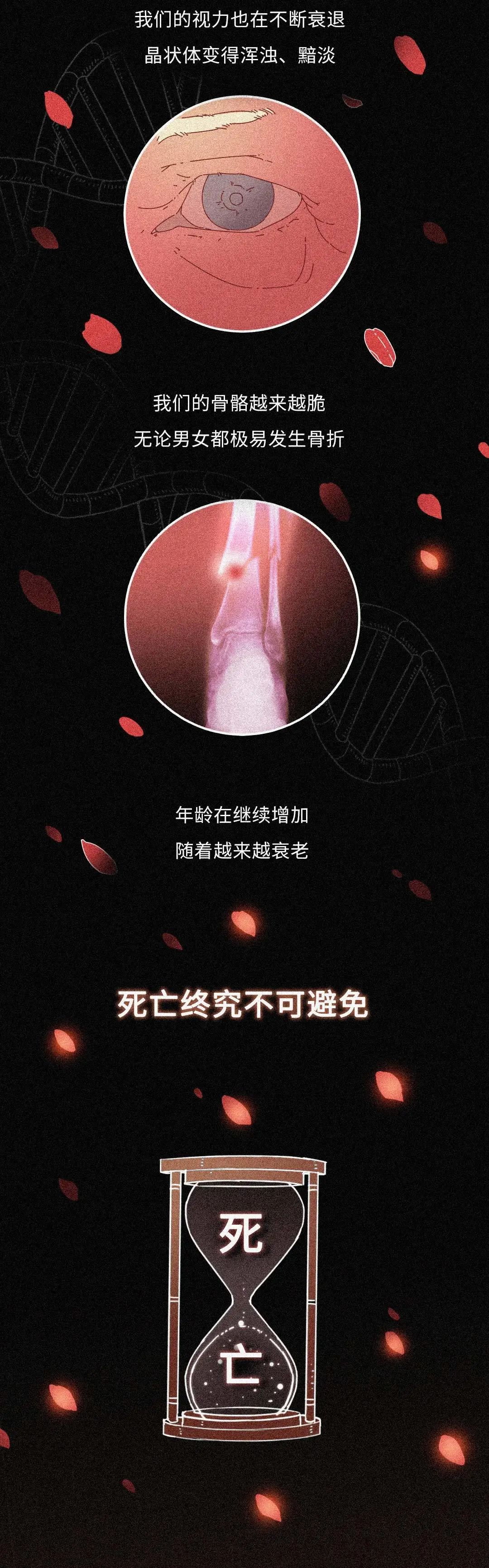 dna|从受精卵到死亡，我们的身体究竟遭遇了什么？一场不可思议的生命过程！