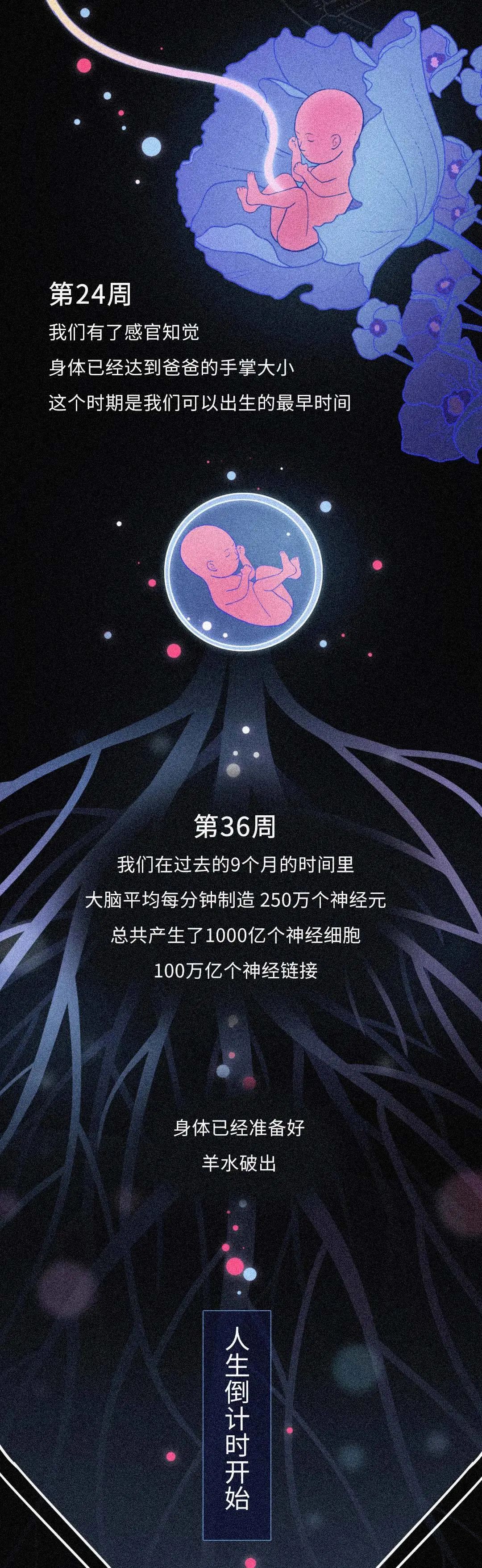 dna|从受精卵到死亡，我们的身体究竟遭遇了什么？一场不可思议的生命过程！