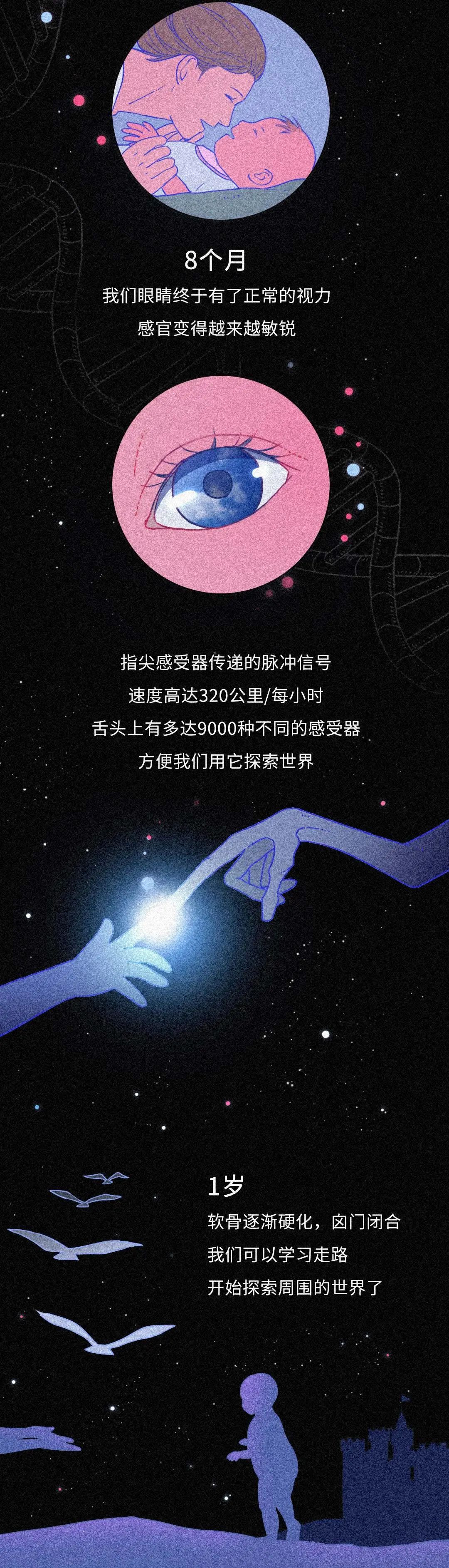 dna|从受精卵到死亡，我们的身体究竟遭遇了什么？一场不可思议的生命过程！