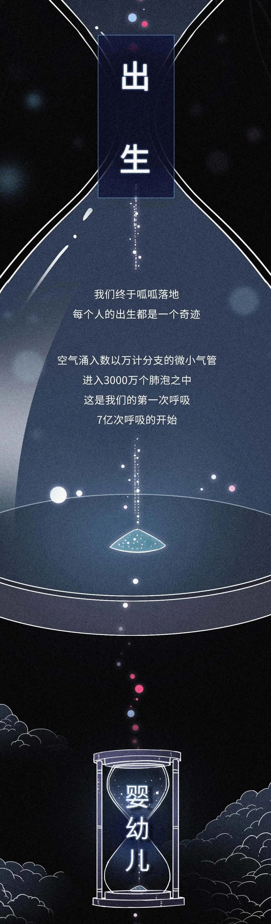 dna|从受精卵到死亡，我们的身体究竟遭遇了什么？一场不可思议的生命过程！