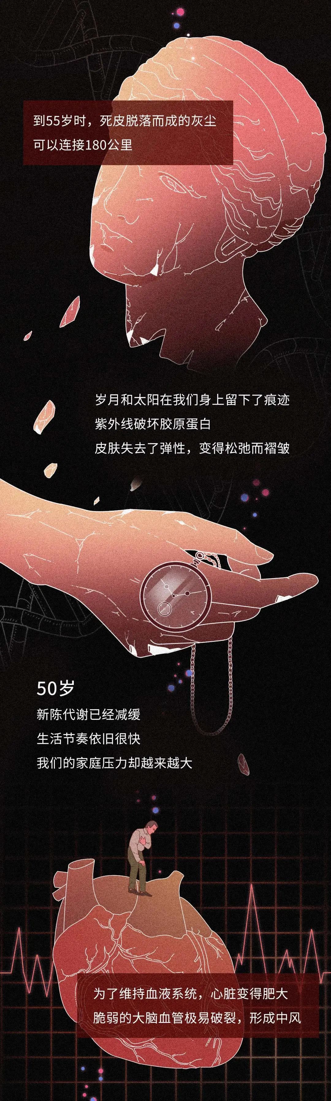 dna|从受精卵到死亡，我们的身体究竟遭遇了什么？一场不可思议的生命过程！