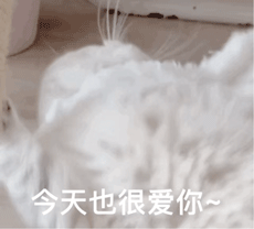 主动脉夹层|36岁男星因“主动脉夹层”离世！每年10月是它的发病高峰期