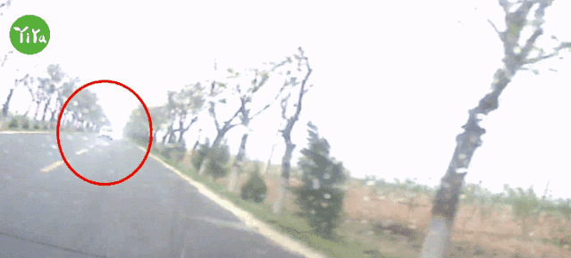 秋季|秋季驾车，一定要警惕这个行为！