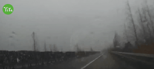 秋季|秋季驾车，一定要警惕这个行为！