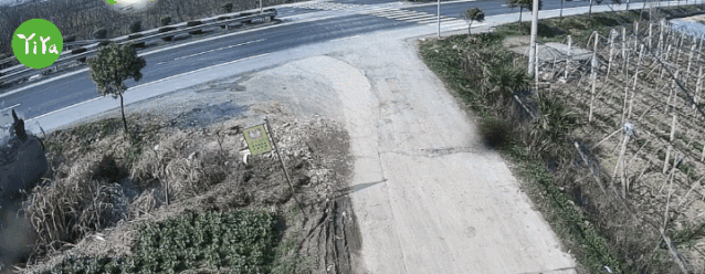 秋季|秋季驾车，一定要警惕这个行为！