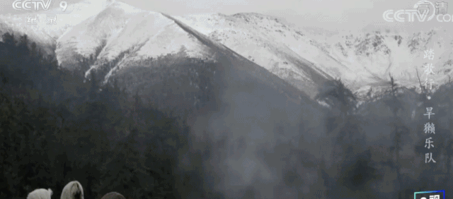 央视|8.6，流量都怕的央视镜头，被一群“土人”扛住了