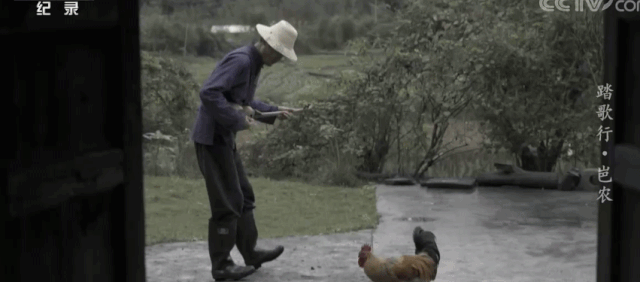 央视|8.6，流量都怕的央视镜头，被一群“土人”扛住了