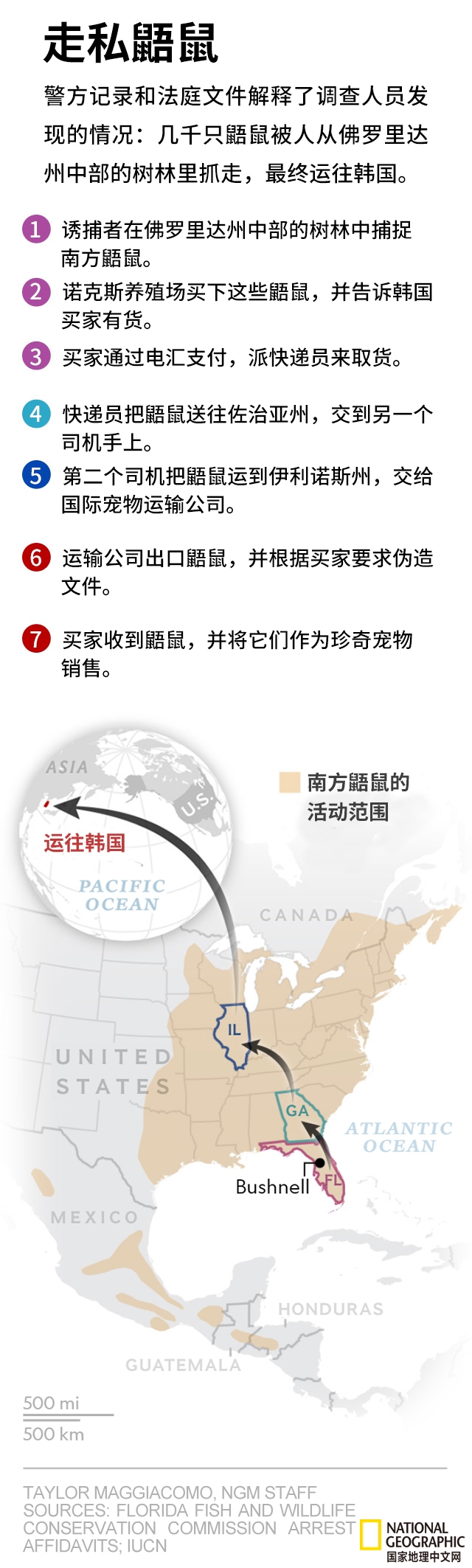 佛罗里达州|独家报道：揭开佛罗里达州鼯鼠走私的黑幕