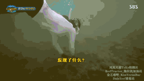 极限挑战|做错事后装怂又甩锅，你们这算是什么呢？