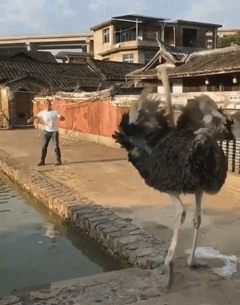 孙猴子|“假如古人有朋友圈，最后一个是认真的吗？”哈哈哈哈哈……我忍不住了