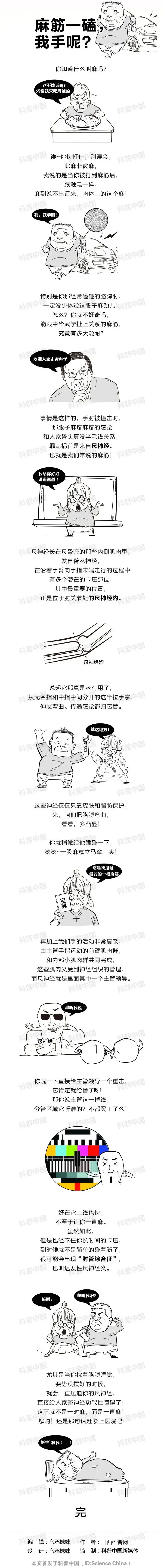 手肘|不小心磕到手肘，为什么会麻到没知觉？原因并不简单…