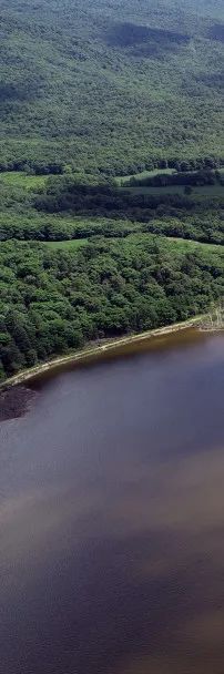 呼兰河|因萧红《呼兰河传》而声名显赫，呼兰河，是条什么河？