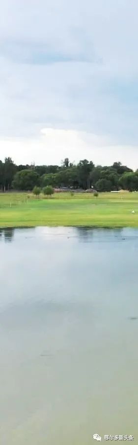 美术馆|又添一站式打卡新去处！吃喝玩乐大撒欢！走起