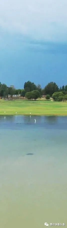 美术馆|又添一站式打卡新去处！吃喝玩乐大撒欢！走起