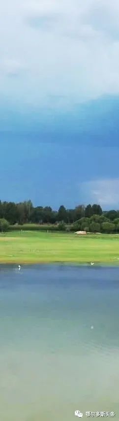 美术馆|又添一站式打卡新去处！吃喝玩乐大撒欢！走起