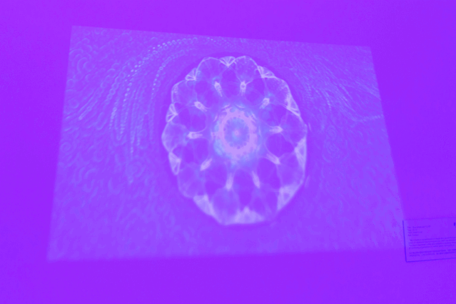 设计师|潮蓝：BLUE＋蓝色生命体艺术展览